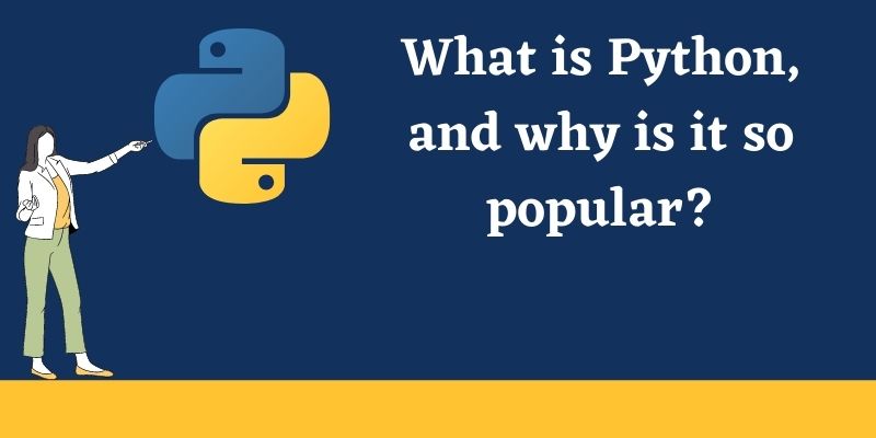 What is Python, and why is it so popular