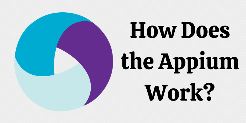 How does the Appium Work?