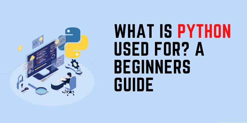 What is Python Used For A Beginners Guide