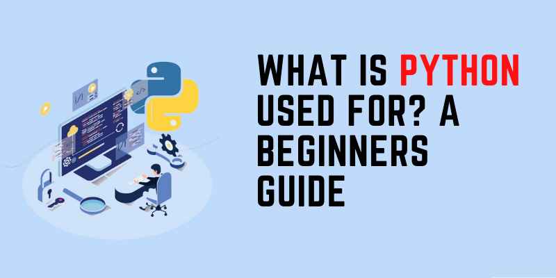 what-is-python-used-for-a-beginners-guide